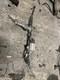Bmw 5 Series Mk6 F10 2.0 Diesel Power Steering Rack 7806974559