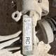 Genuine Bmw Electric Power Steering Rack 32106859299