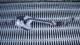 Mini One F55 Power Steering Rack 1.5 Petrol 19071310 5a46e77