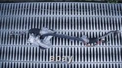 Mini One F55 Power Steering Rack 1.5 Petrol 19071310 5a46e77
