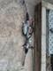 Power Steering Rack And Pinion Rwd 6896854 Bmw 530i 540i G30 (2017-2023) Oem